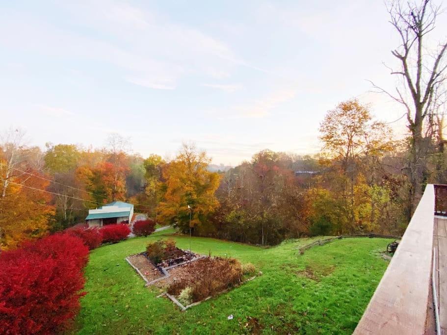 Dog Friendly! Views! Hot Tub! Close To Pf! Gsmnp Sevierville Zewnętrze zdjęcie